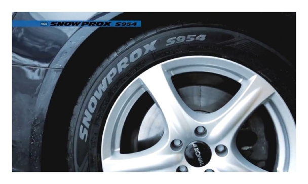 Зимние шины Toyo Snowprox S954